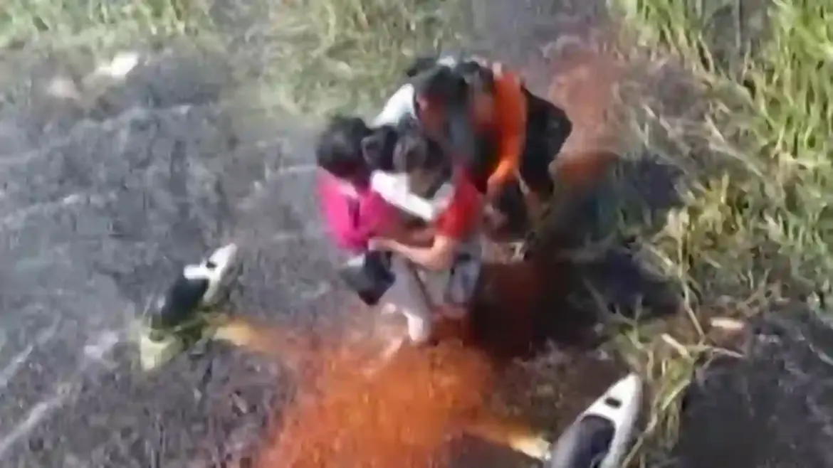 Fishermen Discover Missing Plane in Bolivian Swamp Where Pilot and Passengers Survive for 36 Hours Surrounded by Alligators