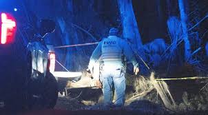 Florida Authorities Investigate Fatal Bear Attack