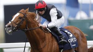 Kyprios secures tenth consecutive win with smooth Levmoss Stakes performance but leaves Aidan O’Brien concerned after limping at Leopardstown