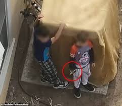 New Mexico Police Officers Are Forced to Shoot at Two Boys Aged Seven and Nine After They Ignore Orders and Brandish a Loaded Gun