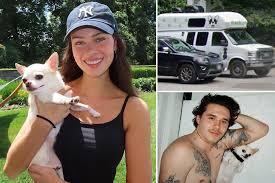 Nicola Peltz Faces Court Appearance Over Lawsuit Concerning Death of Her Dog After Grooming Incident in New York