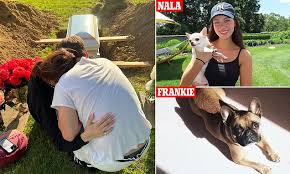 Nicola Peltz Launches Legal Battle Against New York Grooming Company Over Deaths of Two Beloved Dogs