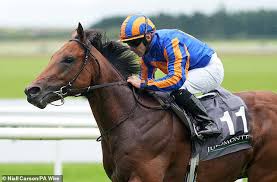 Racing Expert Robin Goodfellow Shares His Detailed Tips for Saturday’s Horse Meetings Across Newbury Newmarket and More