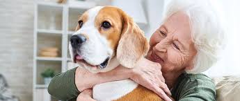 New Veterinary Report Reveals How Loneliness Can Seriously Harm Pets’ Health Across the United States
