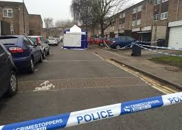 “Teenager Gets Arrested After Allegedly Killing 30-Year-Old Woman in Tragic Shooting Incident in Birmingham”