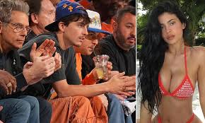 Timothée Chalamet Watches New York Knicks Suffer Another Loss at Madison Square Garden Without Kylie Jenner by His Side