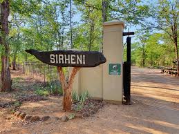 Tourist Petronella Viljoen leaves Sirheni Bushveld Camp gate for solitary walk and is fatally trampled by elephants near Kruger National Park gravel road
