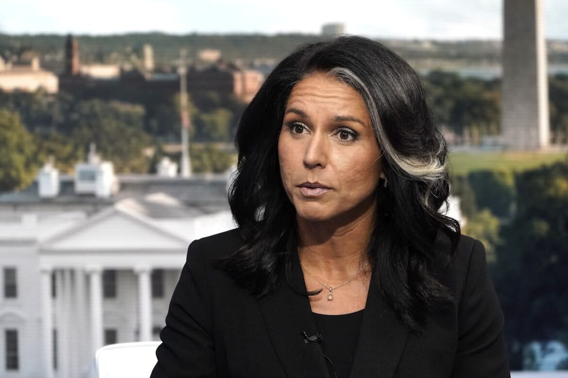 Tulsi Gabbard accuses Biden administration of using airport security to punish her for criticizing Kamala Harris during overseas trip to Rome