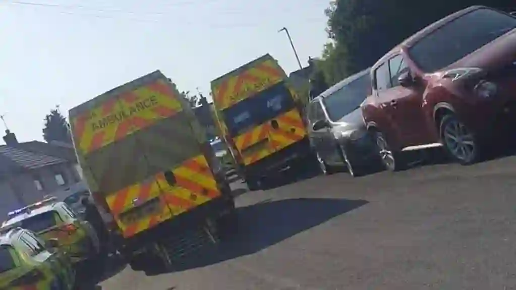 Two Toddlers Suffer Serious Injuries After Dog Suddenly Attacks Inside a Home in Prescot