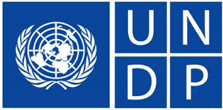 United Nations Development Programme Offers Digital Transformation Internship to Students and Graduates Worldwide for 2025