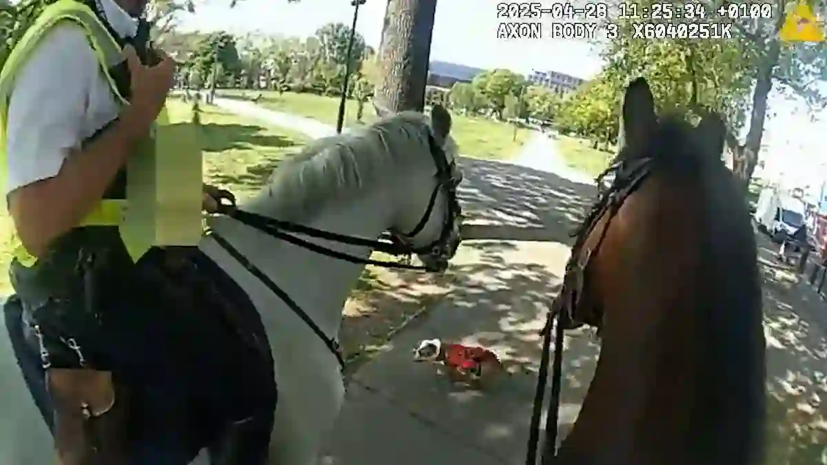 Unleashed dog lunges at police horses during patrol through Shepherd’s Bush Green as shocked officers and bystanders scramble to defuse chaos