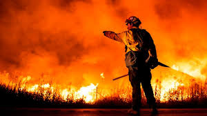 Authorities in California Investigate Growing Surge of Wildfires Threatening Residential Communities and Wildlife Habitats