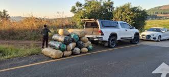 Three Police Officers Get Caught Transporting Huge Load of Dagga in a Marked Patrol Vehicle While on Duty in Mpumalanga