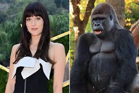 Dakota Johnson Reveals How She Sent a Gallon of Gorilla Poop to a Man Who Broke Her Friend’s Heart During a Vanity Fair Lie Detector Test