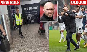 Former Swansea manager Luke Williams surprises fans by starting new job assisting disabled passengers at Bristol Airport