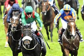 Francis-Henri Graffard Shares His Deep Admiration for Epsom’s Historic Derby Course While Preparing Midak for the Iconic Race in England