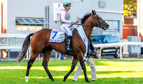 Justin Snaith confirms star colt Eight On Eighteen will run in Durban July despite carrying top weight at Greyville