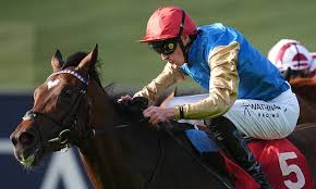 Robin Goodfellow reveals expert betting tips for Wednesday horse races at Royal Ascot Hamilton Lingfield Worcester and Ripon