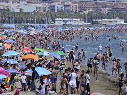 Tourists flee Majorca beaches in panic after mass jellyfish swarm forces authorities to shut down coastal swimming zones