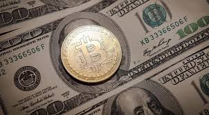 Veteran crypto holders double down on Bitcoin