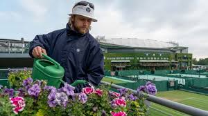 Wimbledon head gardener Martyn Falconer welcomes summer rainfall as vital support for flower displays across the All England Club grounds