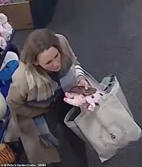 Woman steals £400 worth of Jellycat soft toys from Worcester garden centre and escapes after stuffing them down her trousers