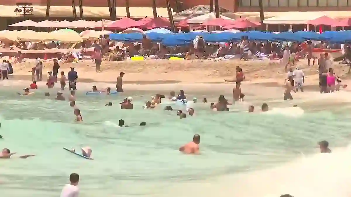 Beachgoers