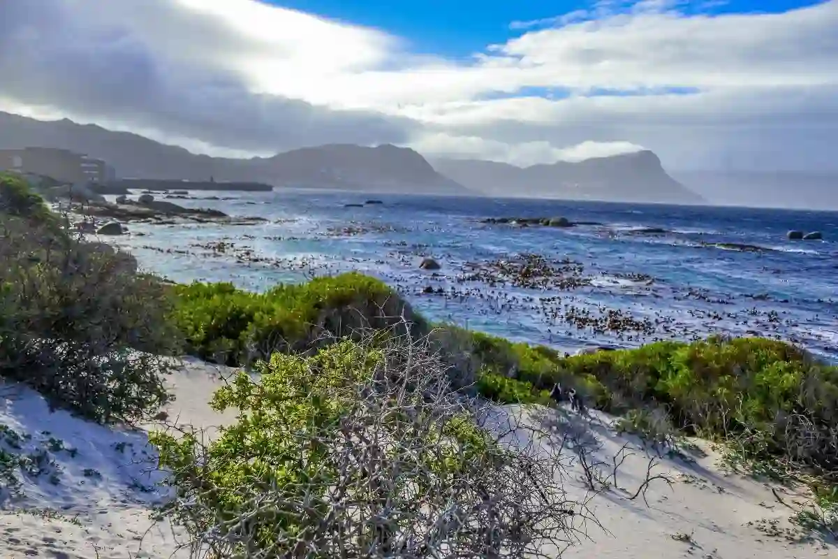 Coastal Villages