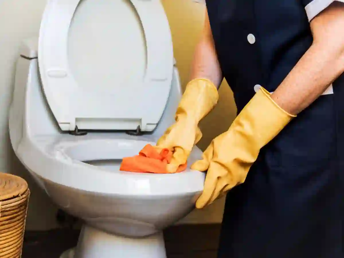 DIY toilet