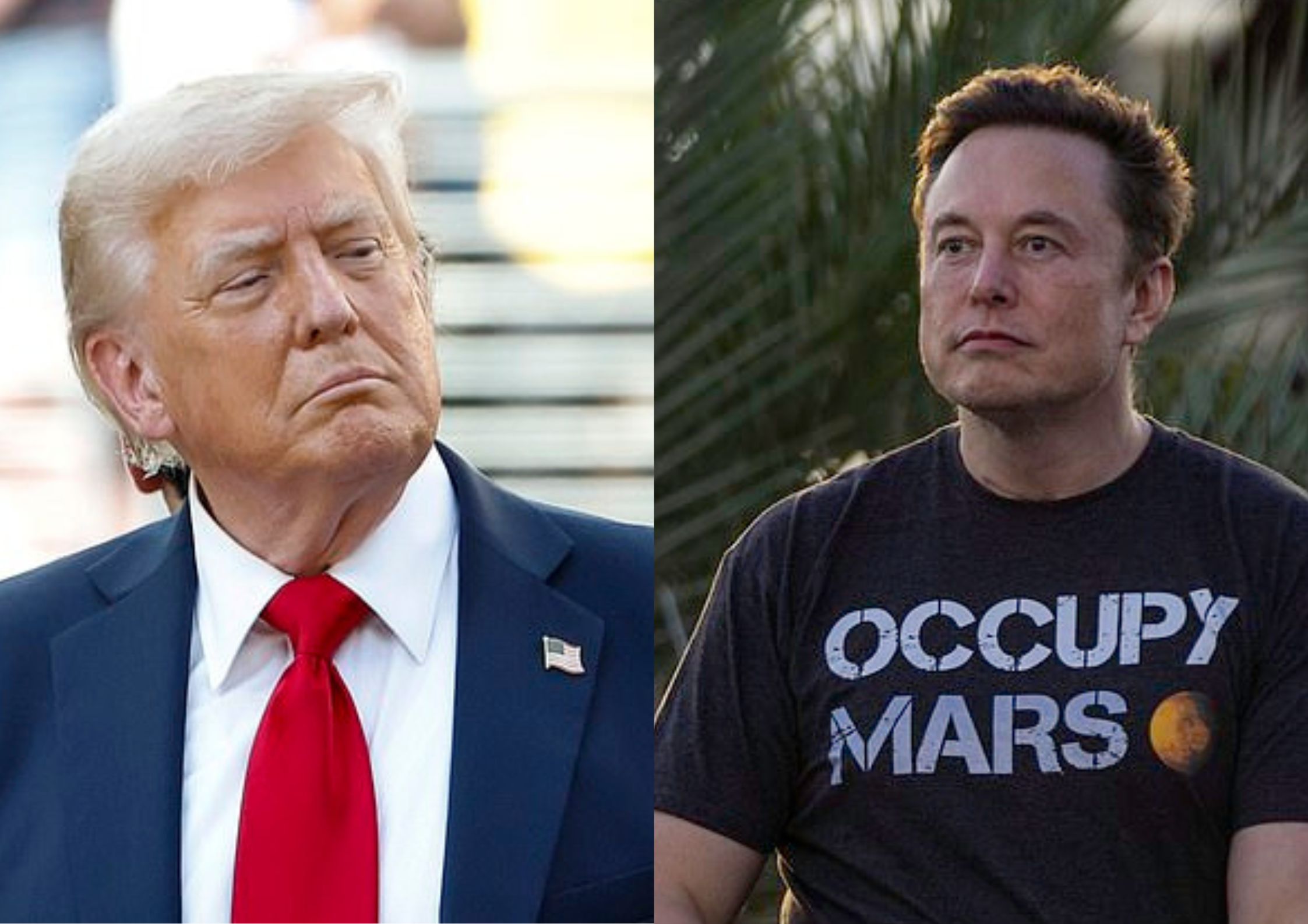 Donald Trump and Elon Musk