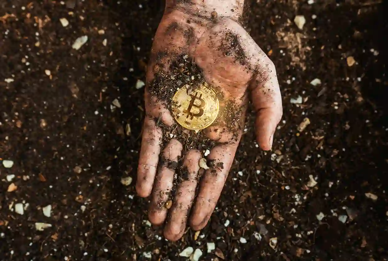 Dormant Bitcoin