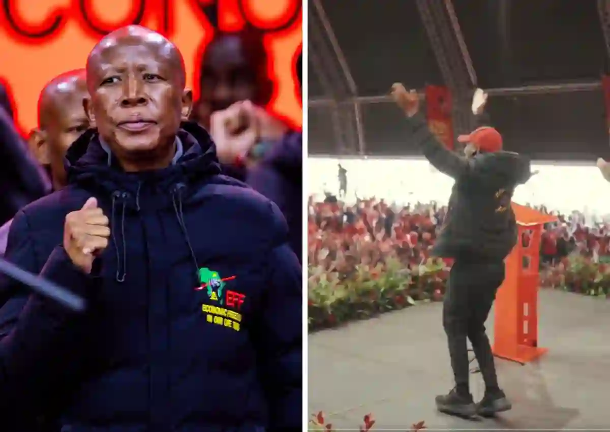 Julius Malema