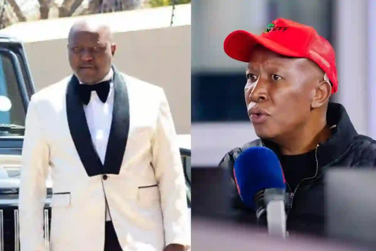 Julius Malema