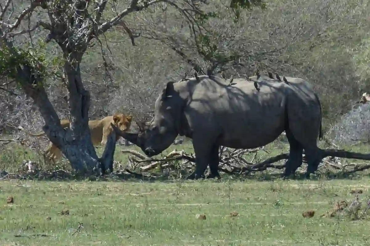 Kruger National
