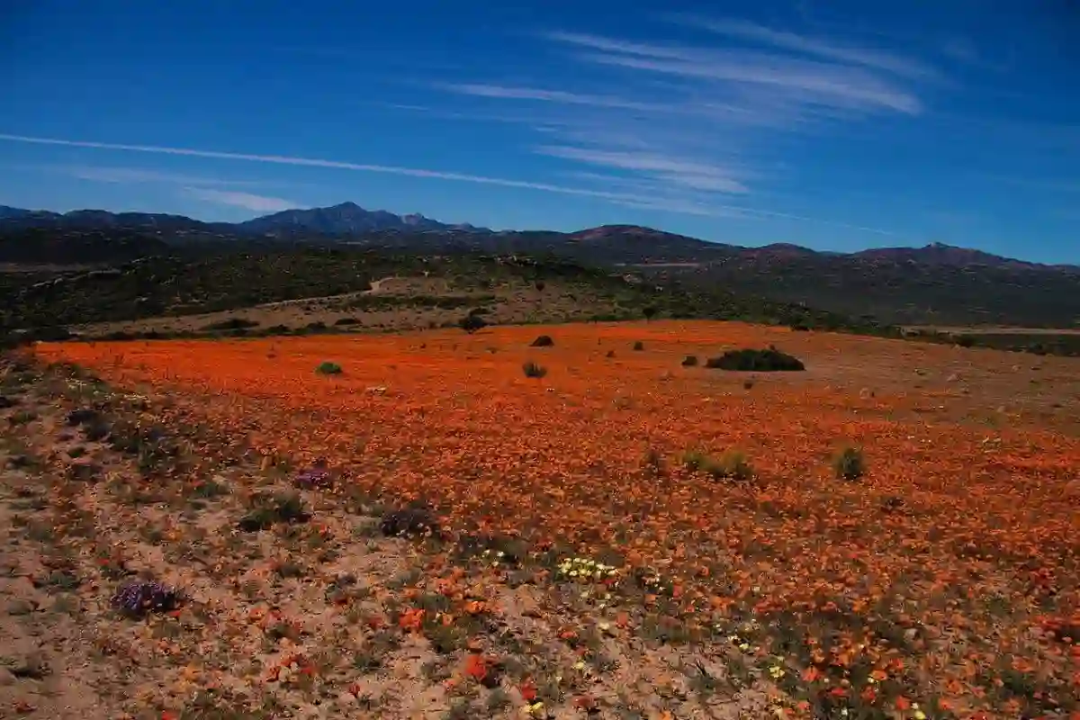 Namaqua National
