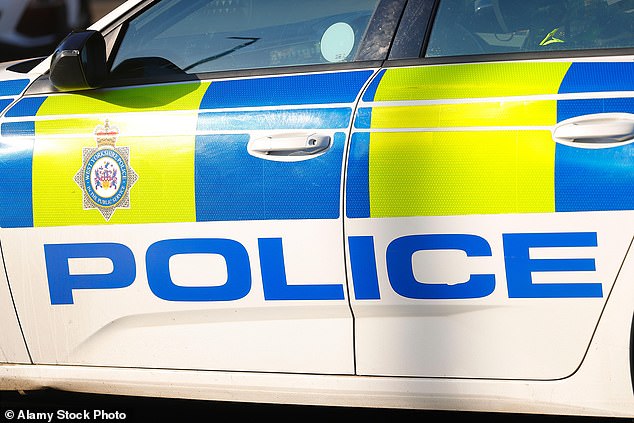 Police Vehicle