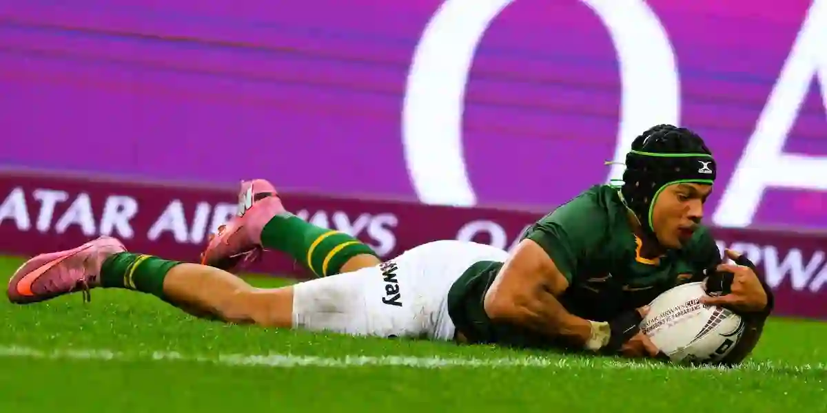 Springbok