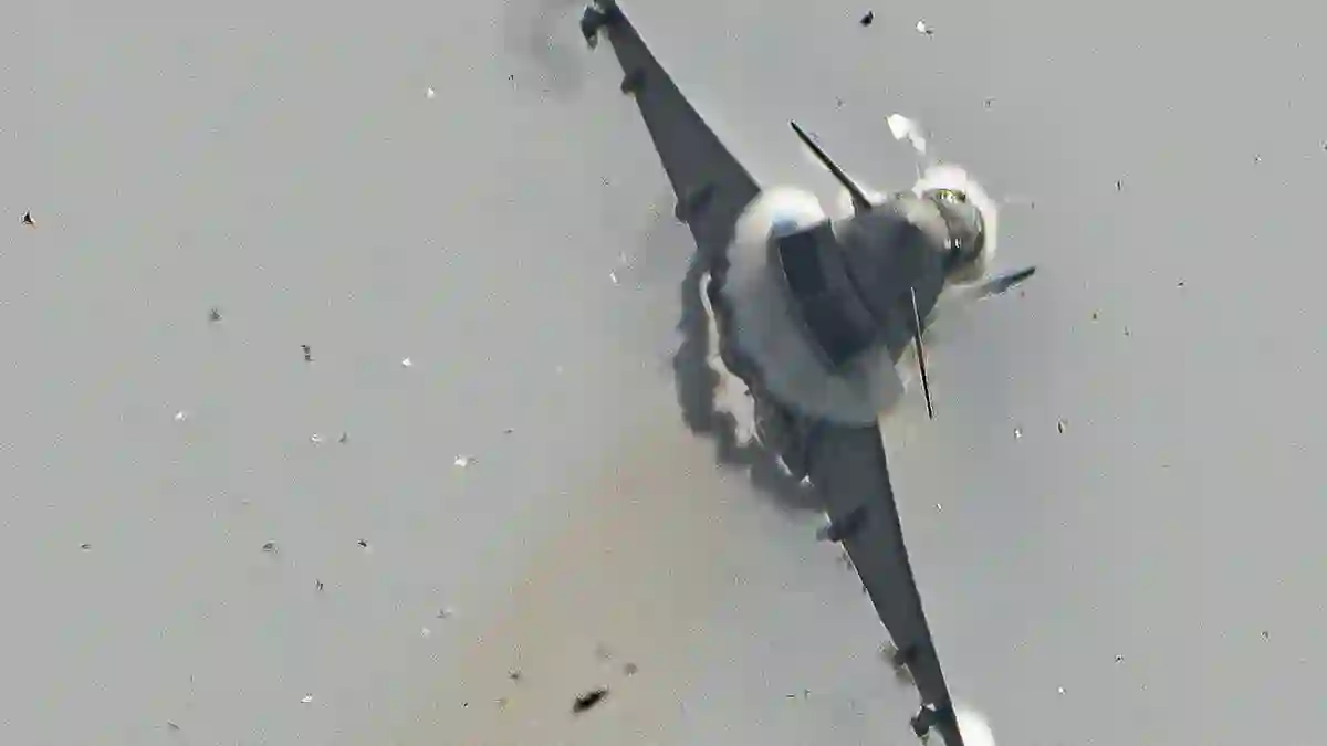 seagull smashes