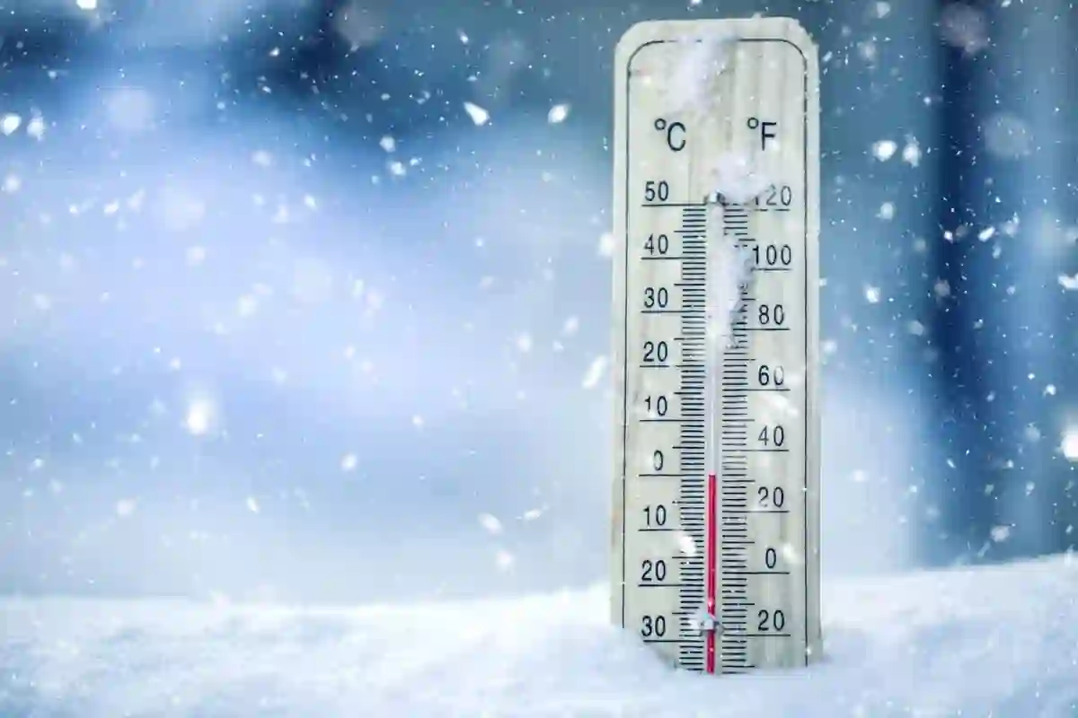 warmer winter