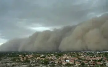 Phoenix