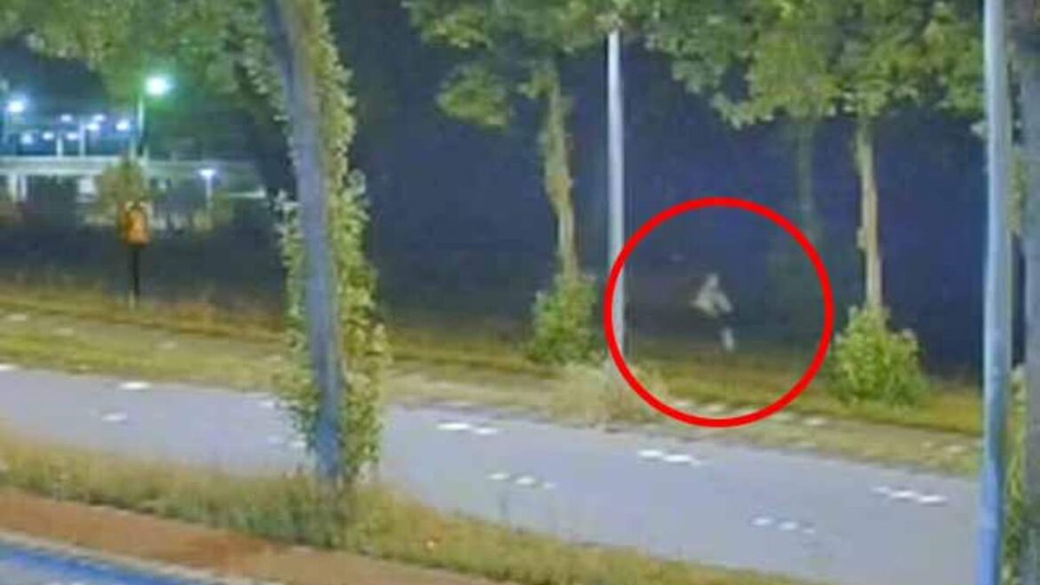 Dutch Police Investigate Asylum Seeker Suspect Following Brutal Murder of Teenager and Assaults in Amsterdam