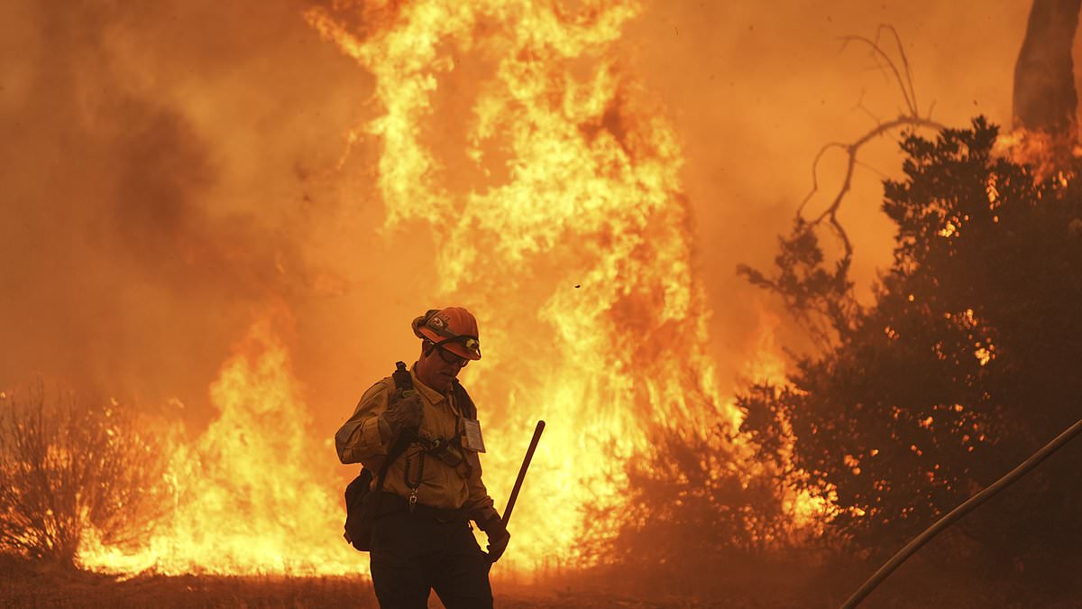 Canyon Fire
