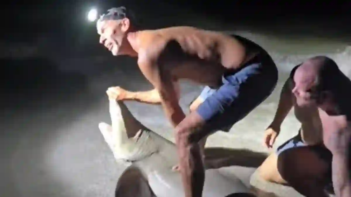 Florida Man Gets Bitten by Shark on Cayo Costa While Posing for Photos During Birthday Fishing Trip