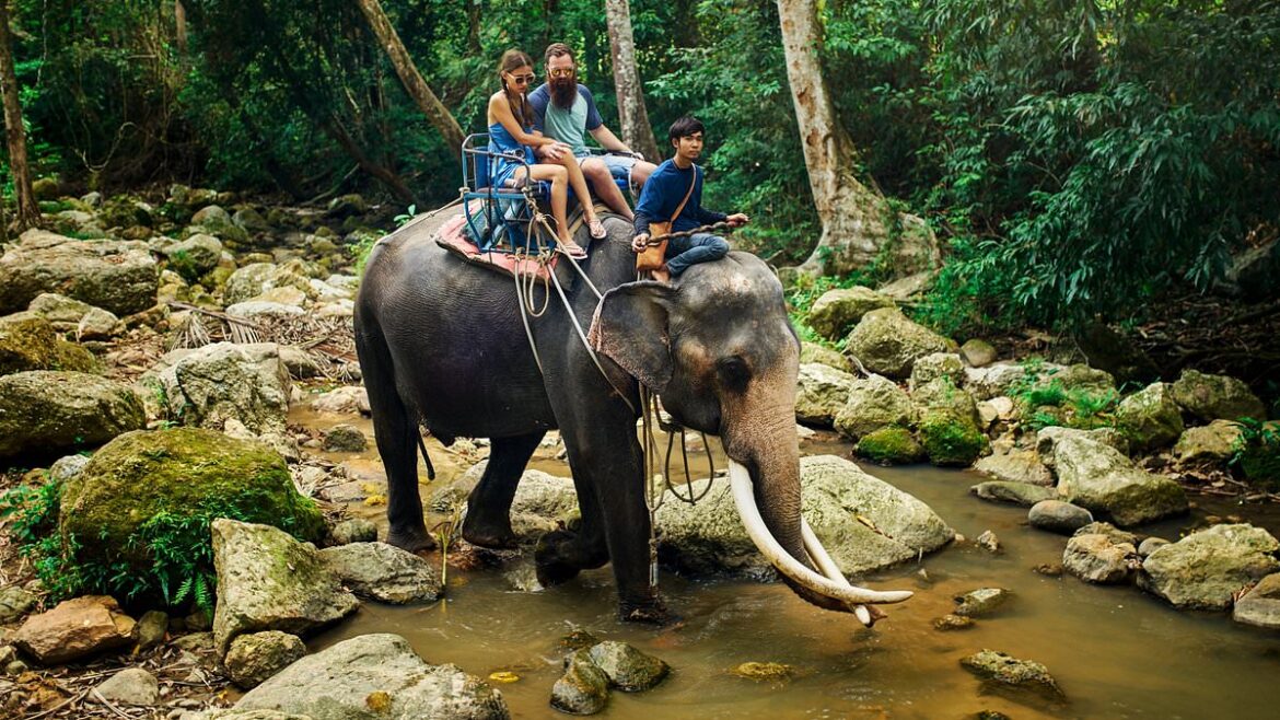 Sex Tourism and Exploitation Threaten Thailand’s Reputation as Tourists Flock to Pattaya and Chiang Mai