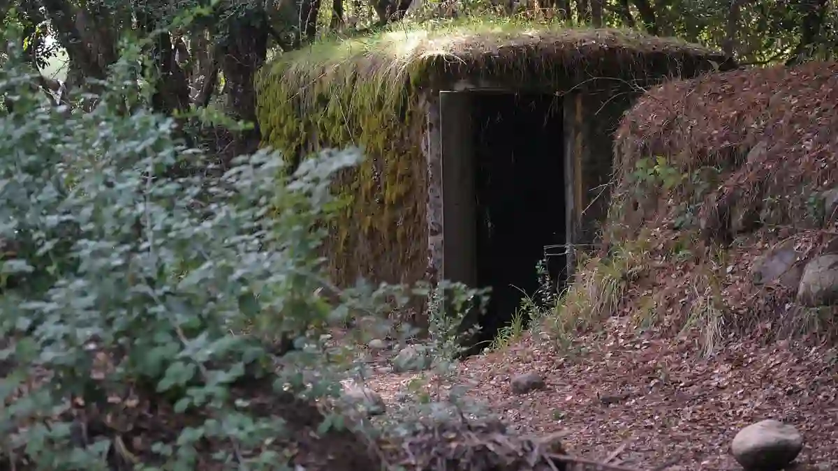 Chilean government moves to seize part of Villa Baviera land to create memorial on site of former Nazi cult and Pinochet torture center in Parral
