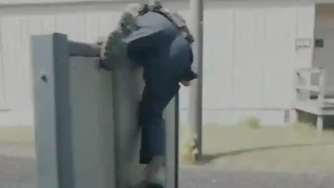 Superman actor Dean Cain struggles through ICE training course in Georgia as critics mock his attempt to climb walls and crawl through barrels