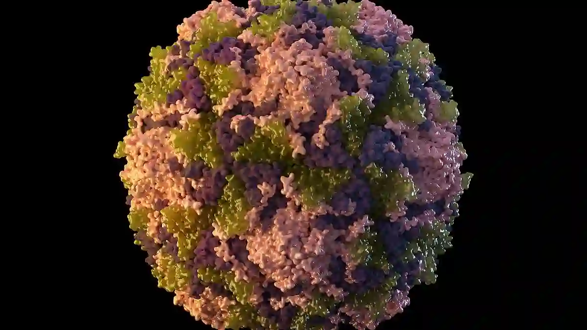 Federal Health