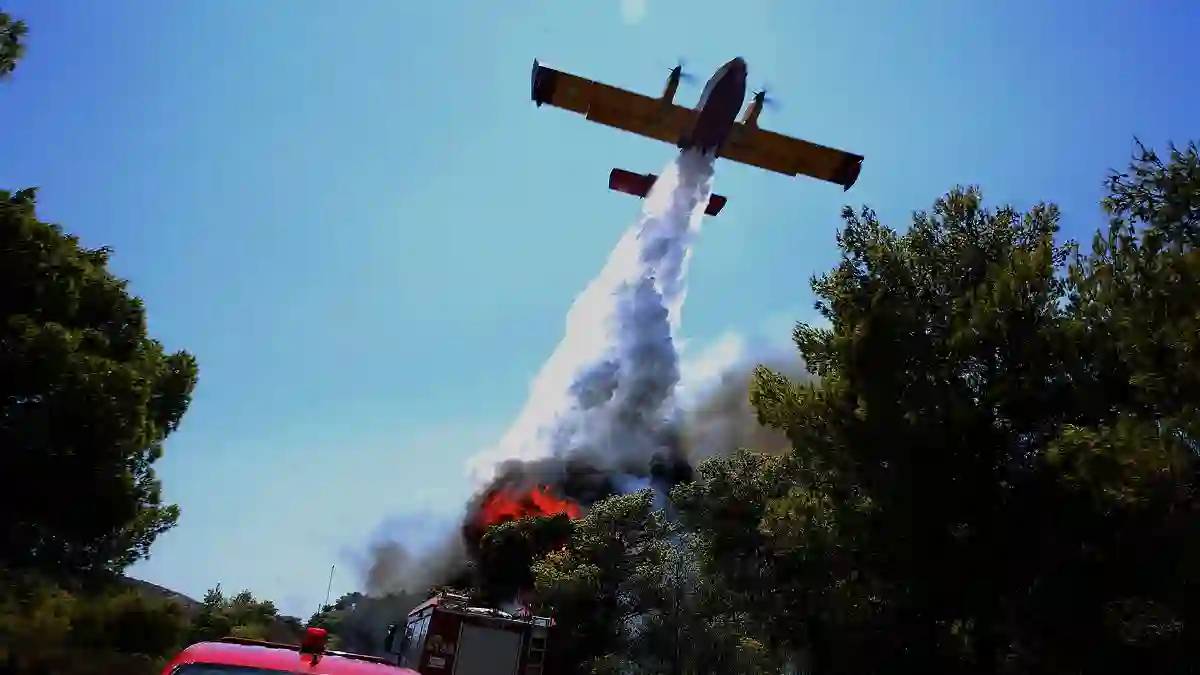 Firefighters