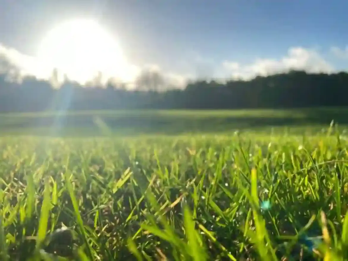 Gauteng residents wake up to a cold morning as warmer afternoon temperatures brighten the day across the province