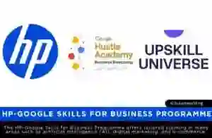 Google and HP Launch Skills for Business Programme to Train African SMEs in AI, Digital Marketing, and E-Commerce Across the Continent